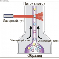 Анализатор соматических клеток в молоке методом проточной цитометрии «BioUniScan»