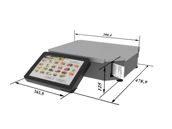 Весы с печатью этикеток МС ПРИНТ Ф