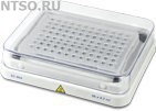  Микропланшет для ПЦР BioSan SC-96A (96х0.2мл) - Всё Оборудование.ру : Купить в Интернет магазине для лабораторий и предприятий