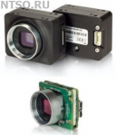 Цифровая камера CM3-U3-31S4M-CS - Всё Оборудование.ру : Купить в Интернет магазине для лабораторий и предприятий