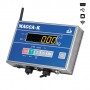 Весы платформенные 4D-LA-2-1000-AB (RUEW) - Всё Оборудование.ру : Купить в Интернет магазине для лабораторий и предприятий